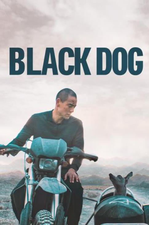 Black Dog (2024) สี่ขาหัวใจไม่ดำ พากย์ไทย เต็มเรื่อง